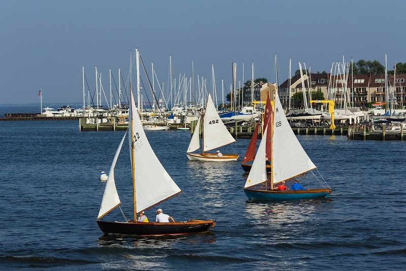 Sailboat Races Boats