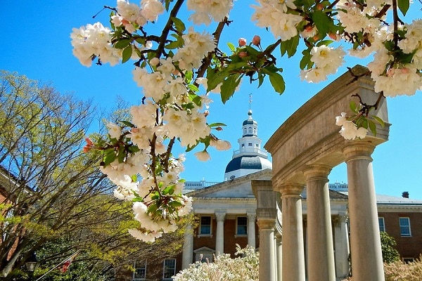 State House in Spring by Kenneth Tom