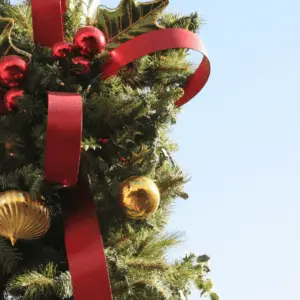 Holiday Decorations