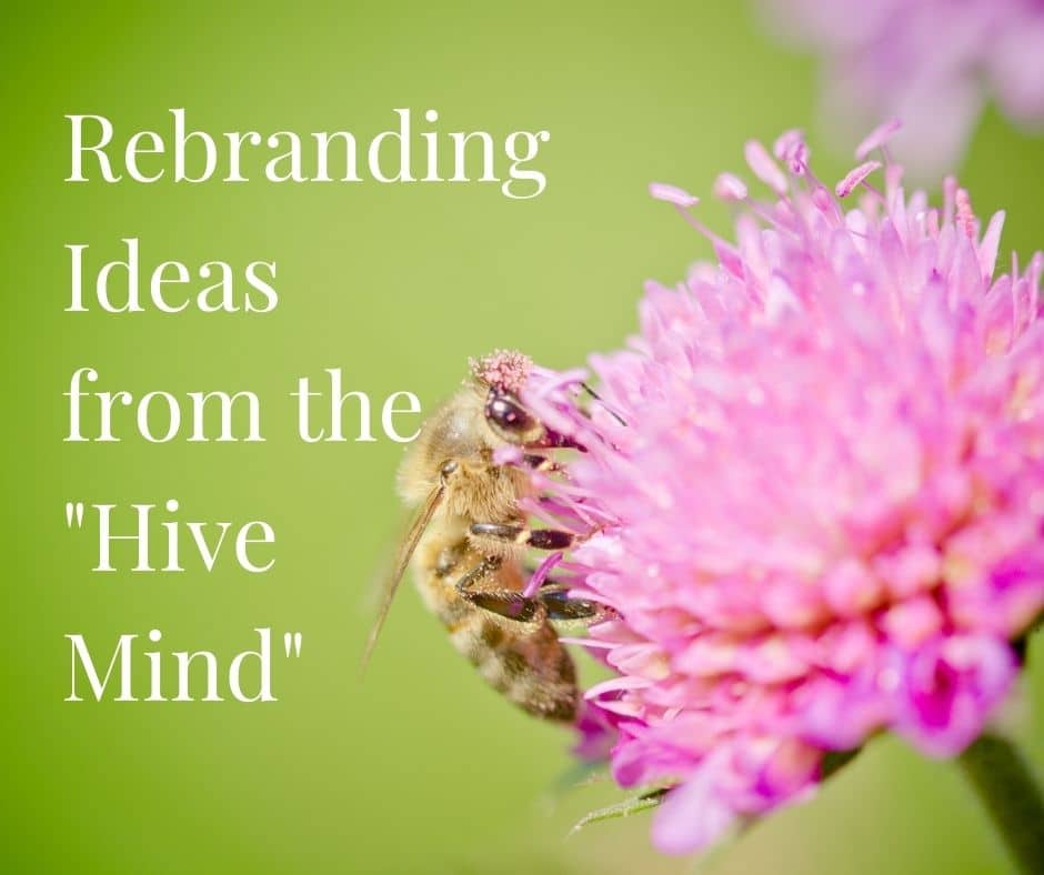 Rebranding Ideas From the Hive Mind