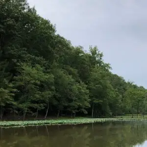 Waterworks Park