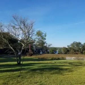 Jug Bay field