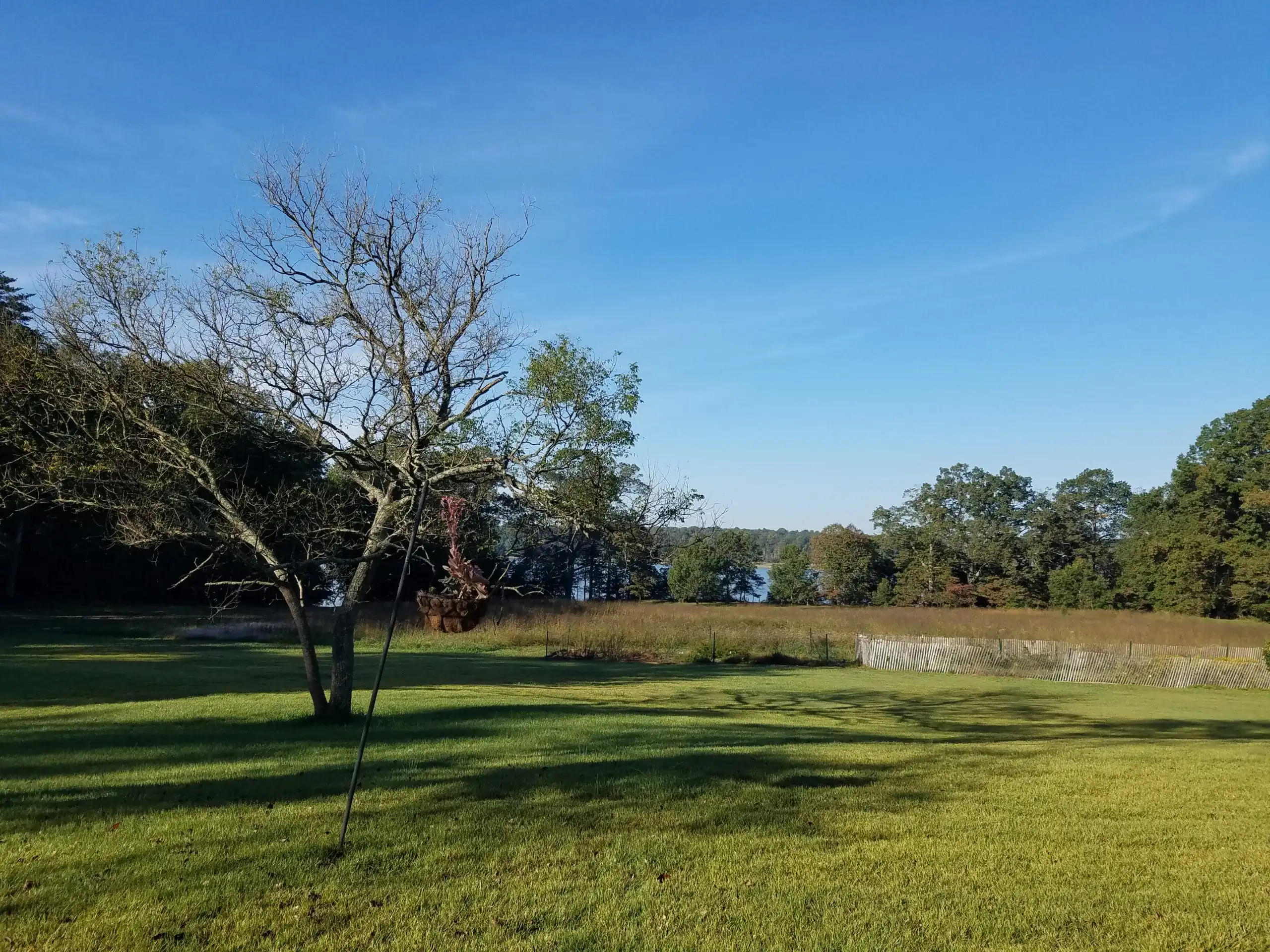 Jug Bay field and marsh