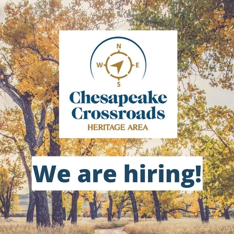 We are hiring