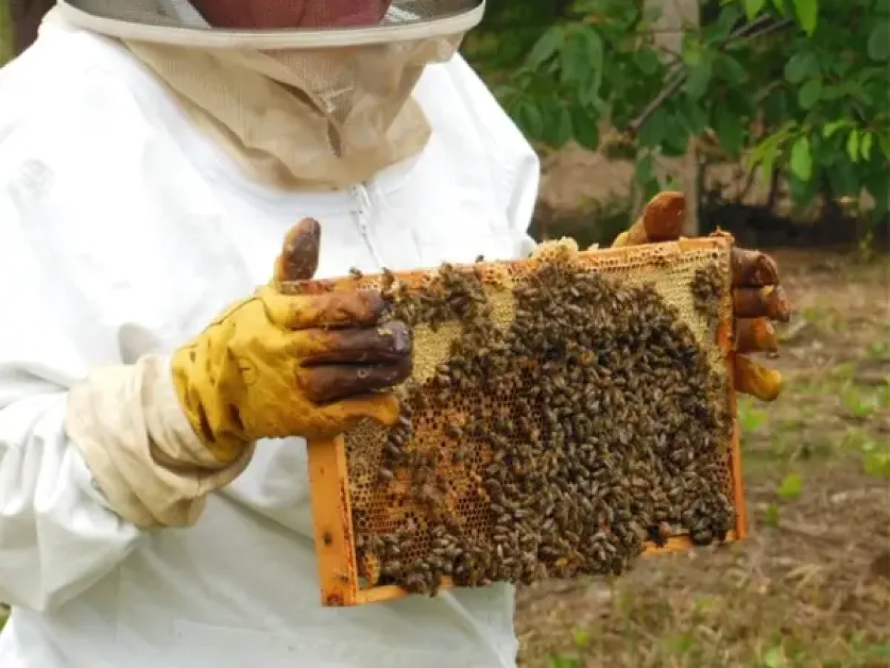 beekeeper John Conner