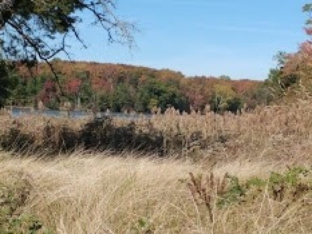 Fall-Deep-Pond