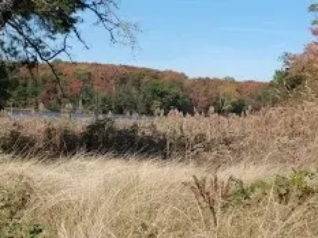 Fall-Deep-Pond