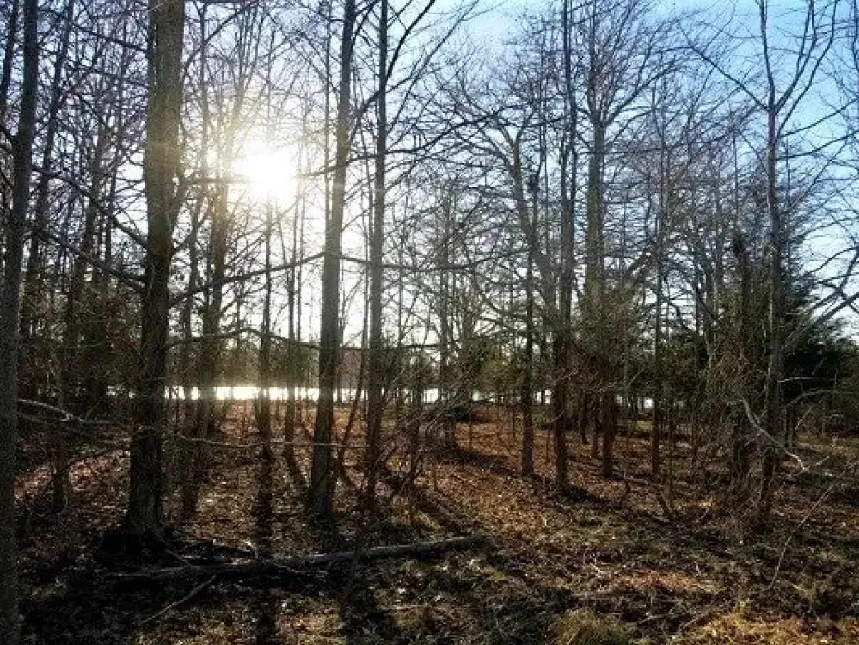 Franklin-Point-State-Park-credit-Lisa-Arrasmith