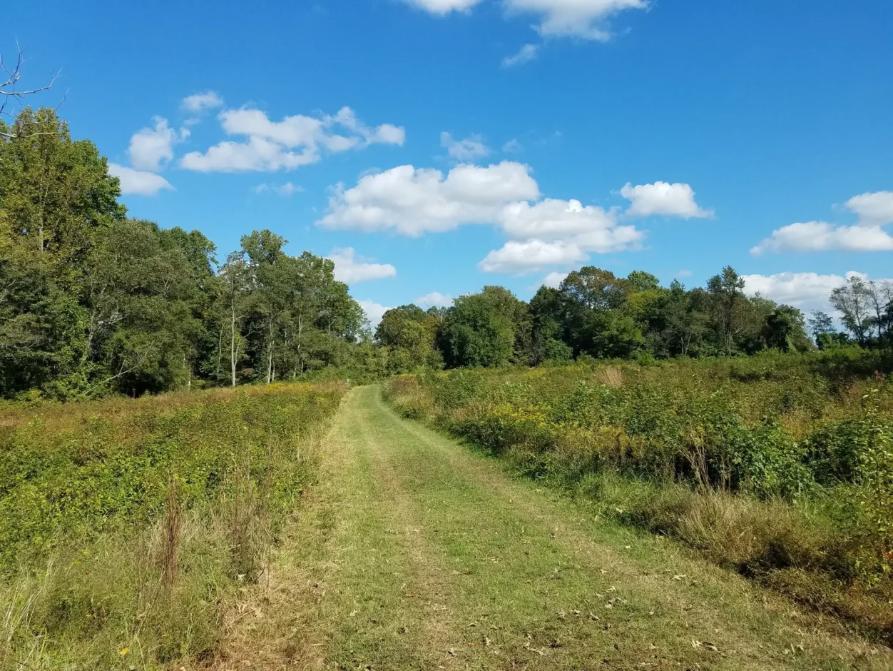 Glendening trail