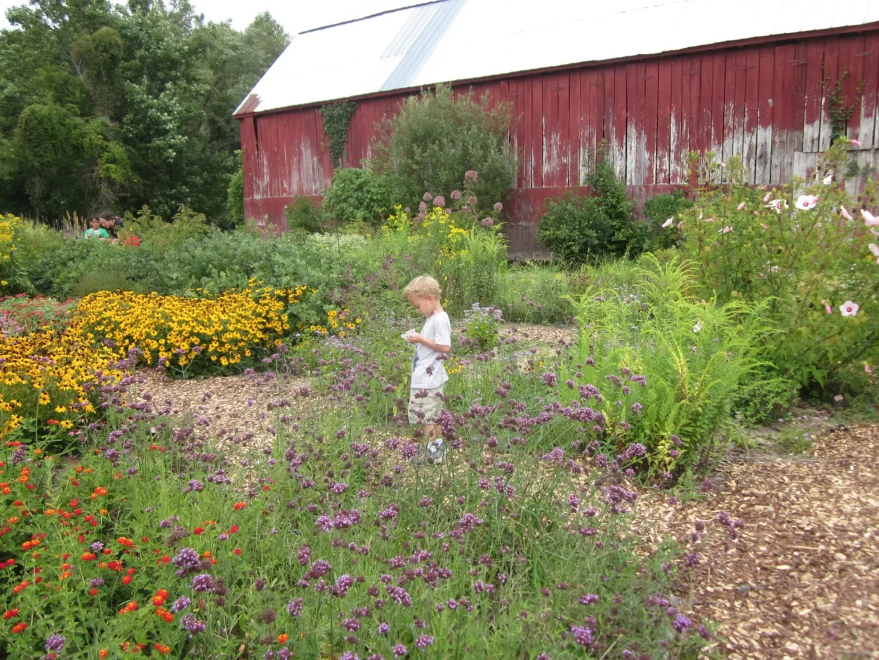 Glendening butterfly garden with young boy