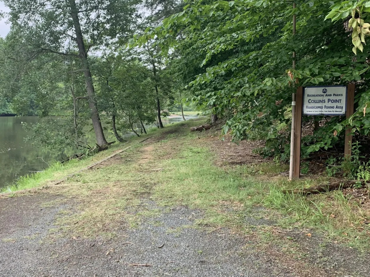 collins point trail