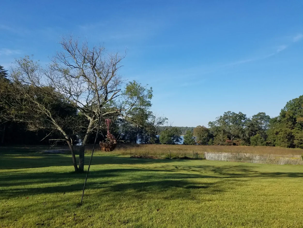 Jug Bay field and marsh
