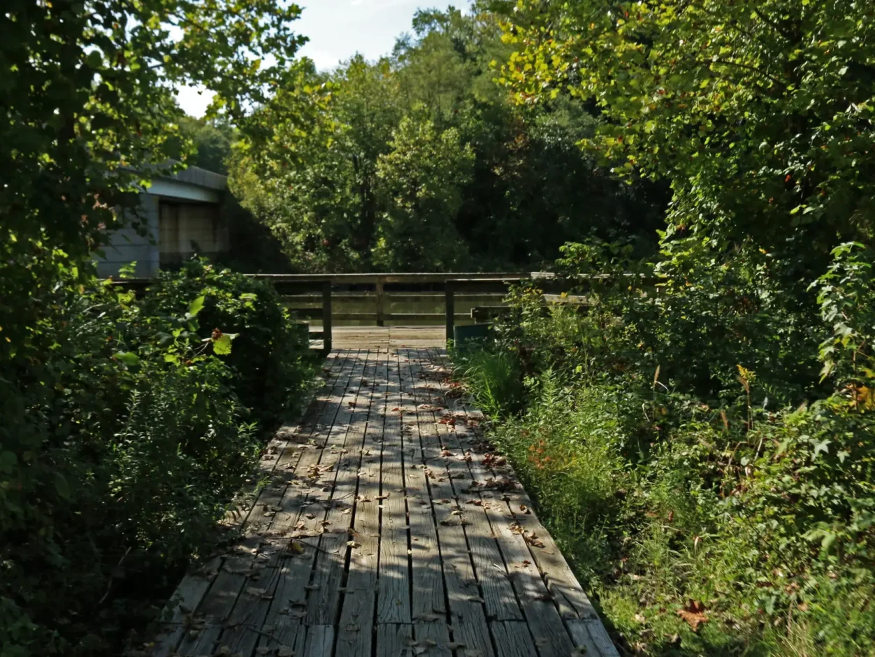 jug bay walkway