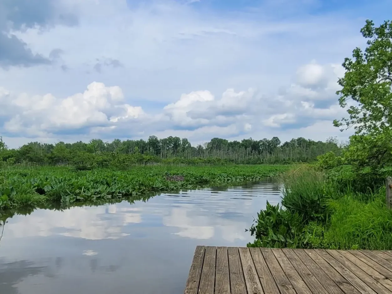 jug bay wetlands view pier