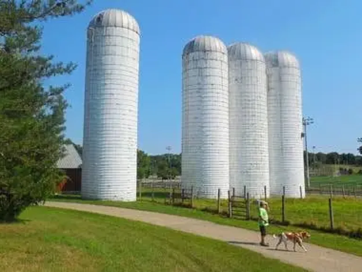 dog walker walking past silos