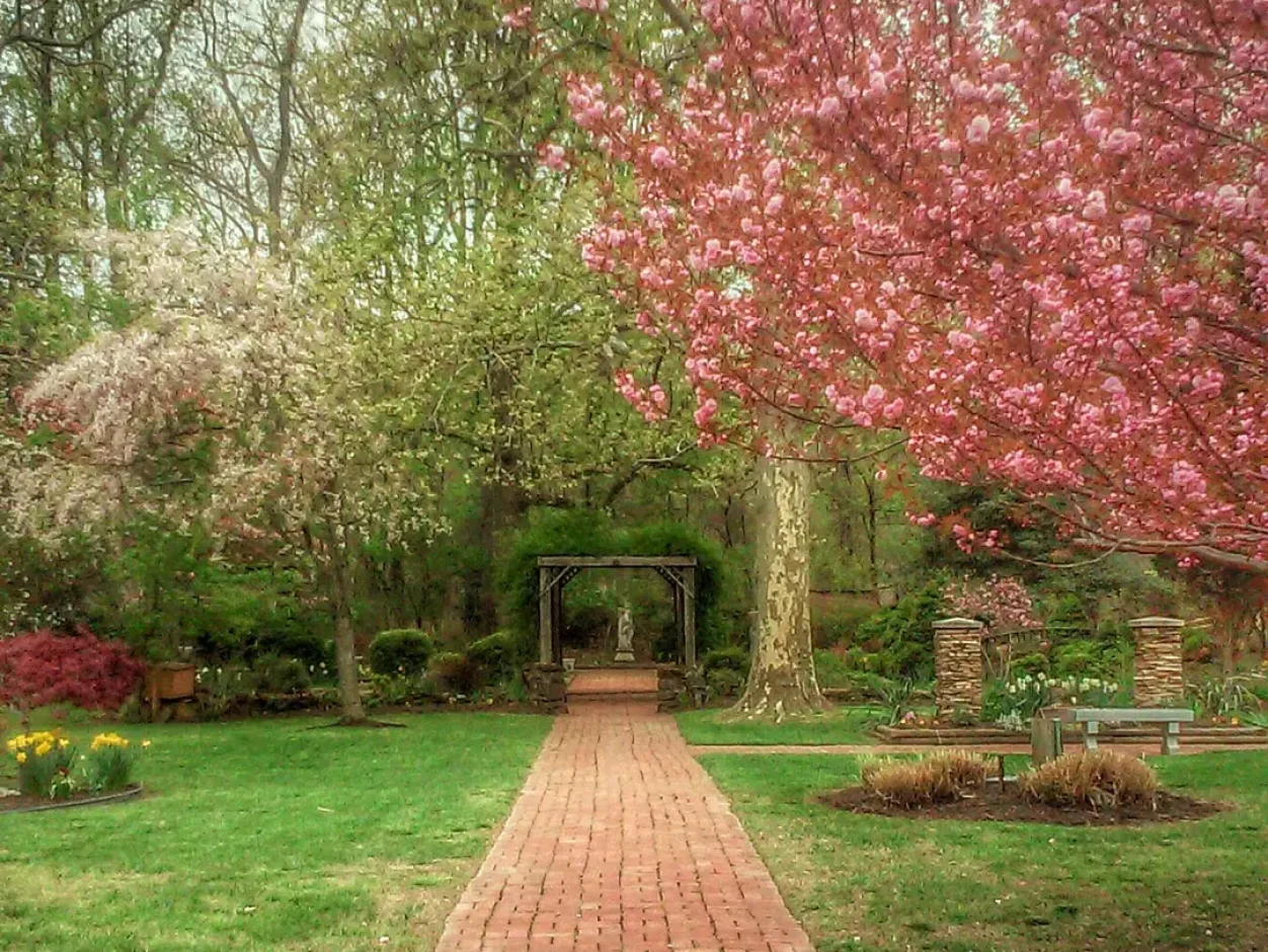 Downs Park garden brick path
