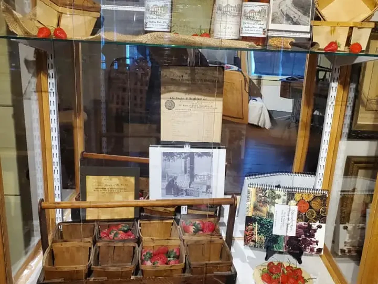 mumford exhibit