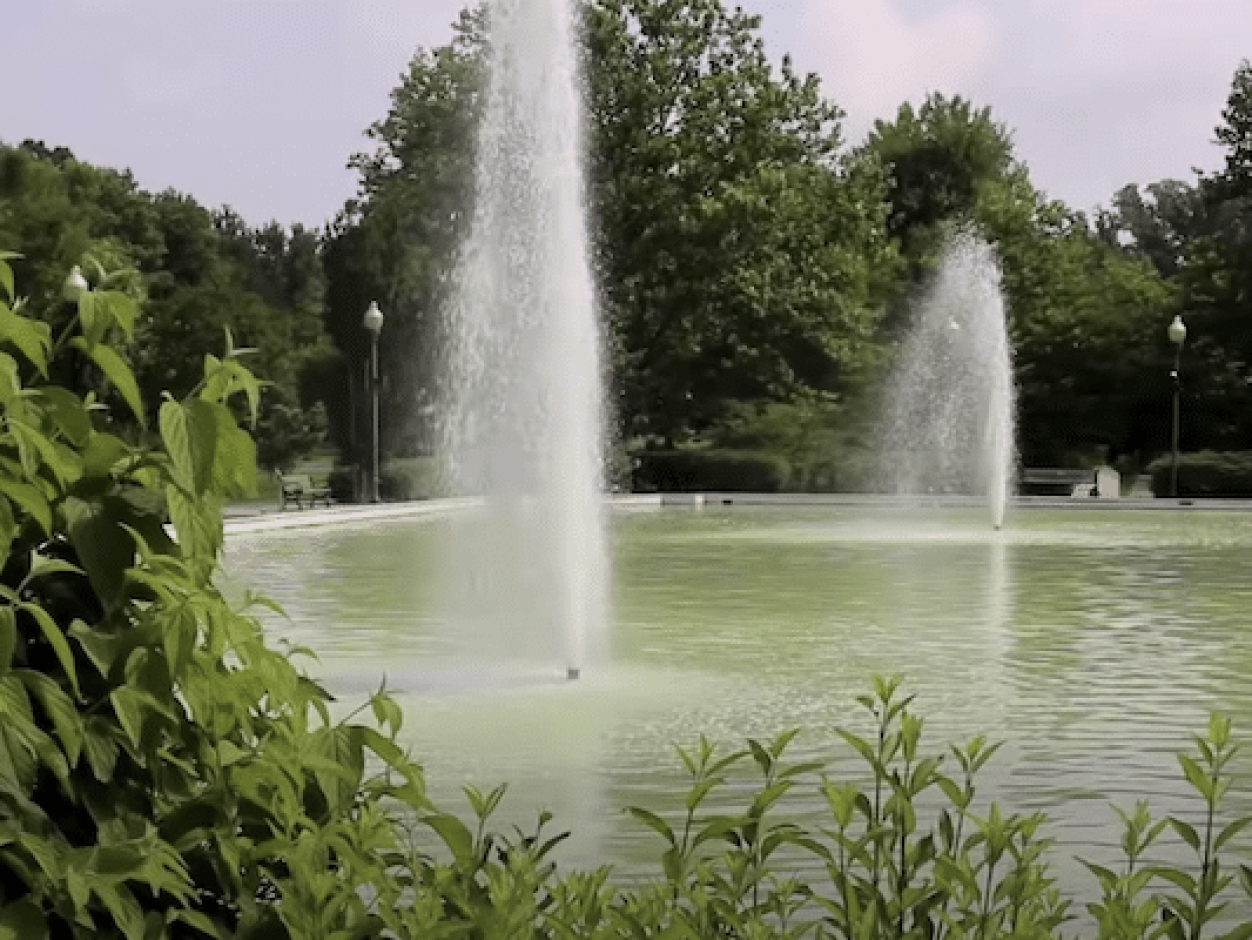 Quiet-Waters-Park-01_2020-07-07-14.56.39-1