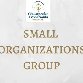 SMALL-ORGS