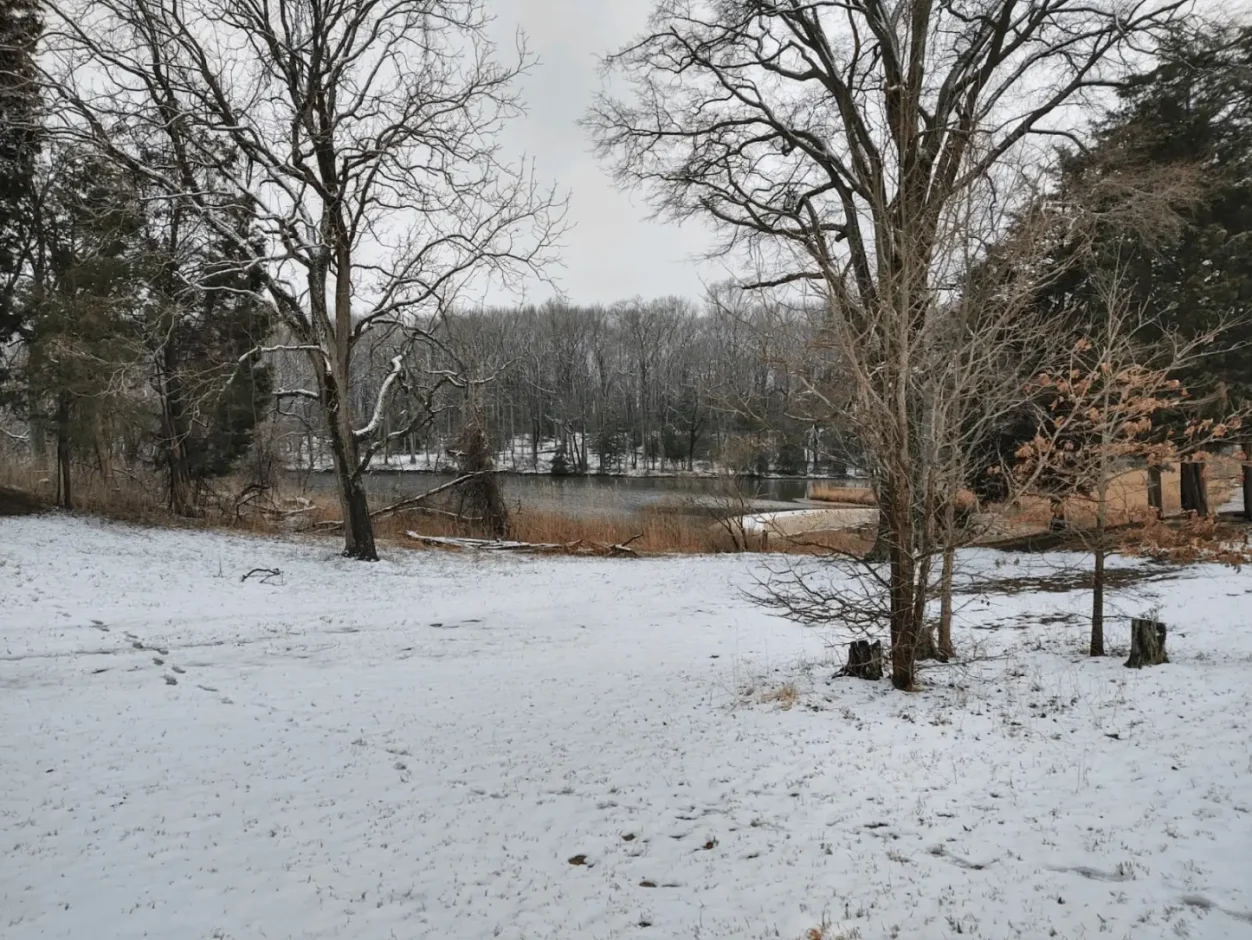 snowy river view