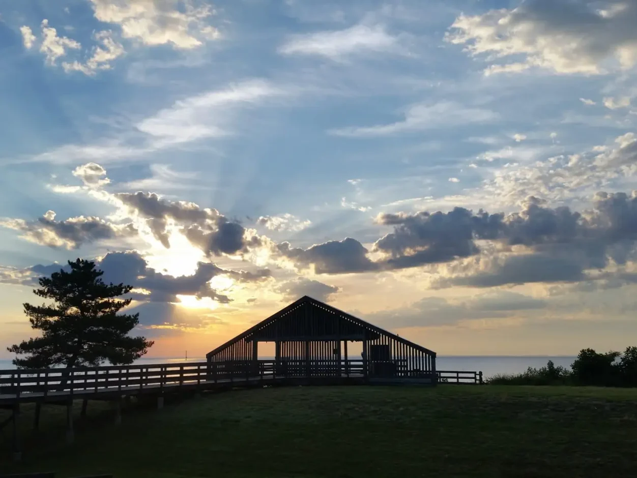 Downs Park at sunrise