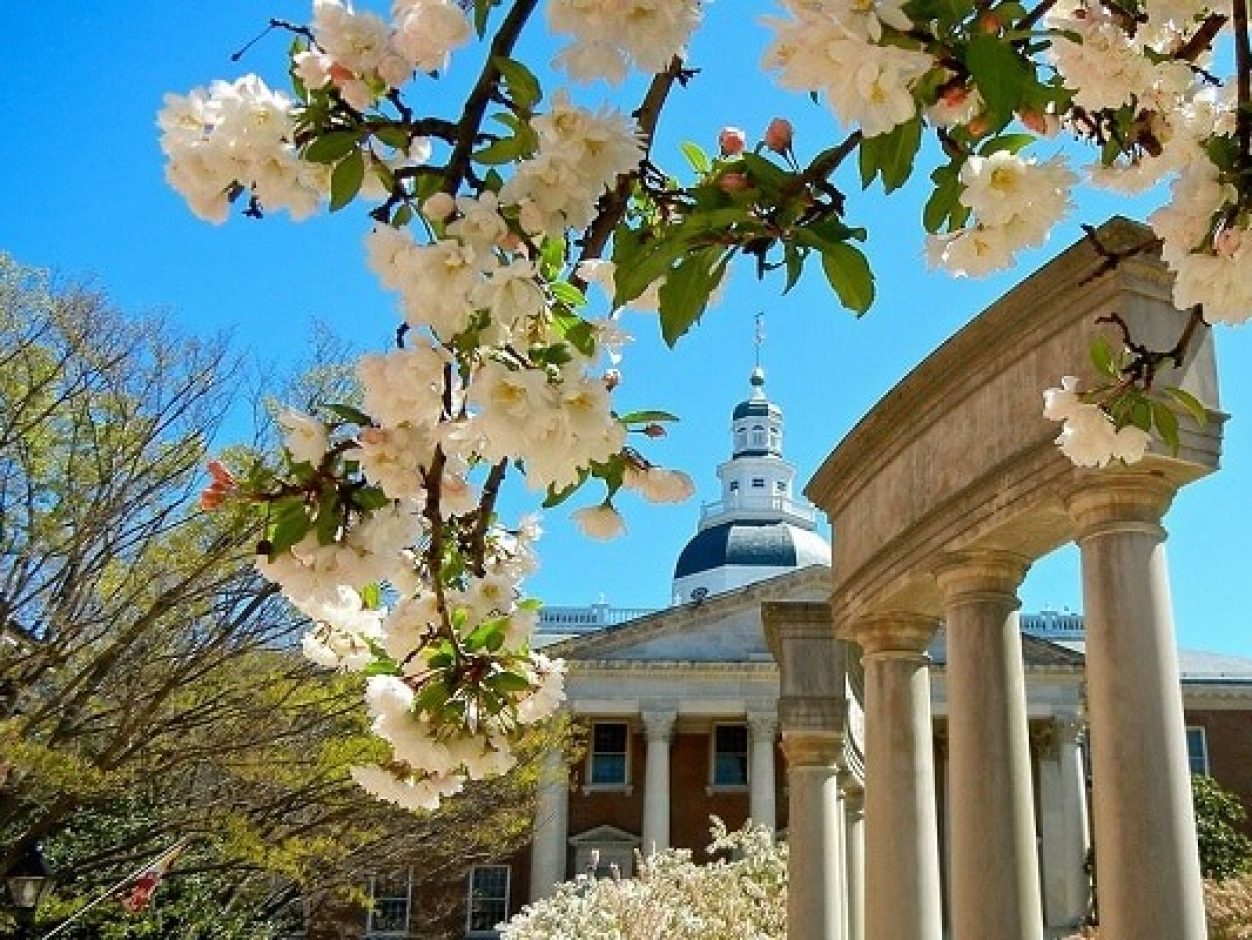 State-House-in-Spring-by-Kenneth-Tom