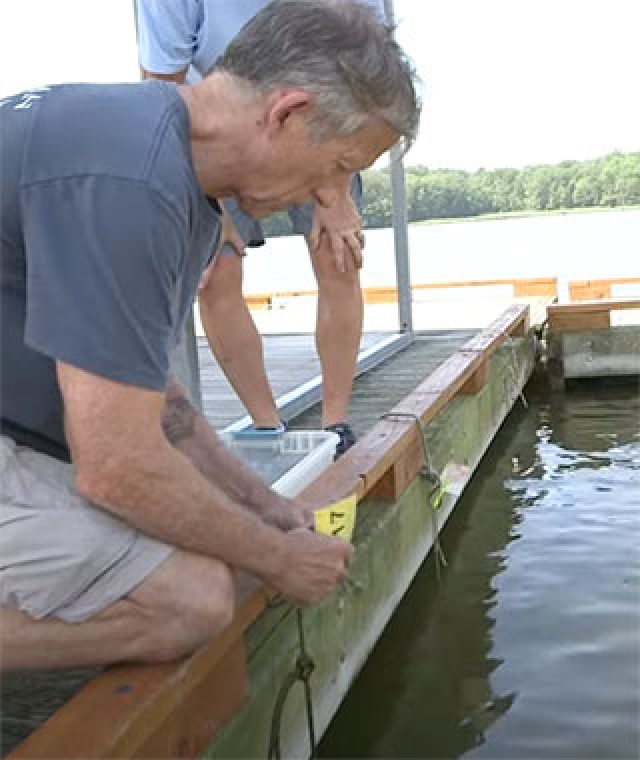 a volunteer at SERC
